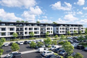 Agence immobiliere corse | paoli immobilier